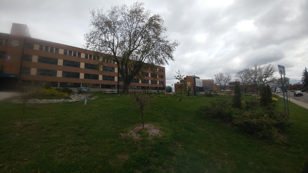 Jardin scolaire du Collège Nouvelles Frontières au printemps 2021