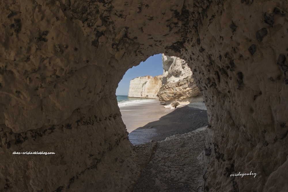 Au coeur  de la falaise