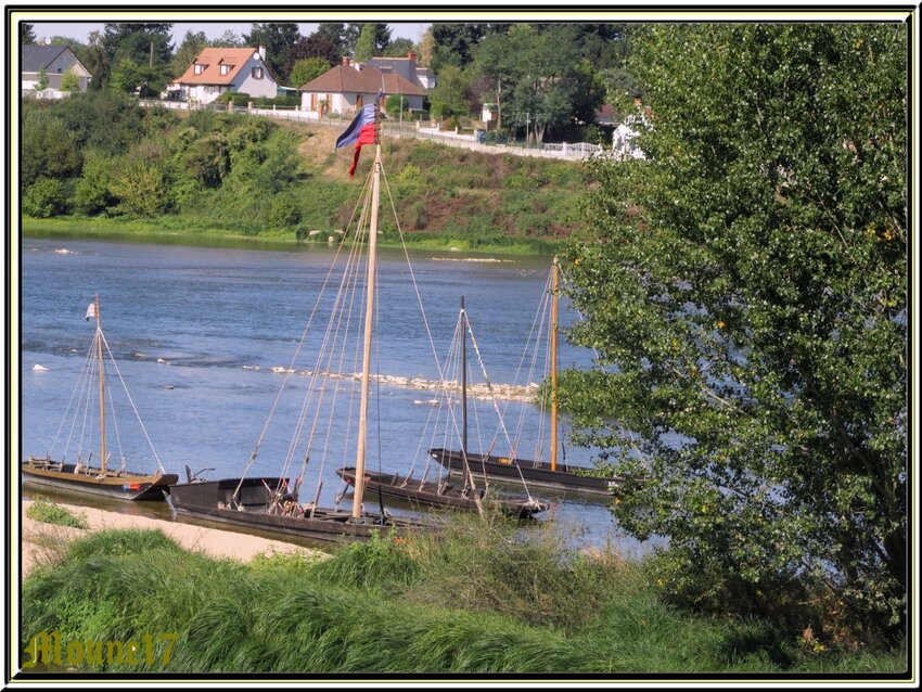 Jargeau balade sur les bords de Loire