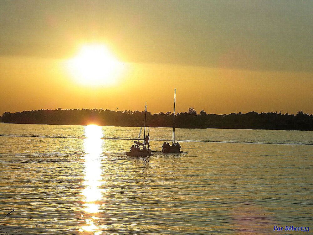 Biesbosch en Hollande