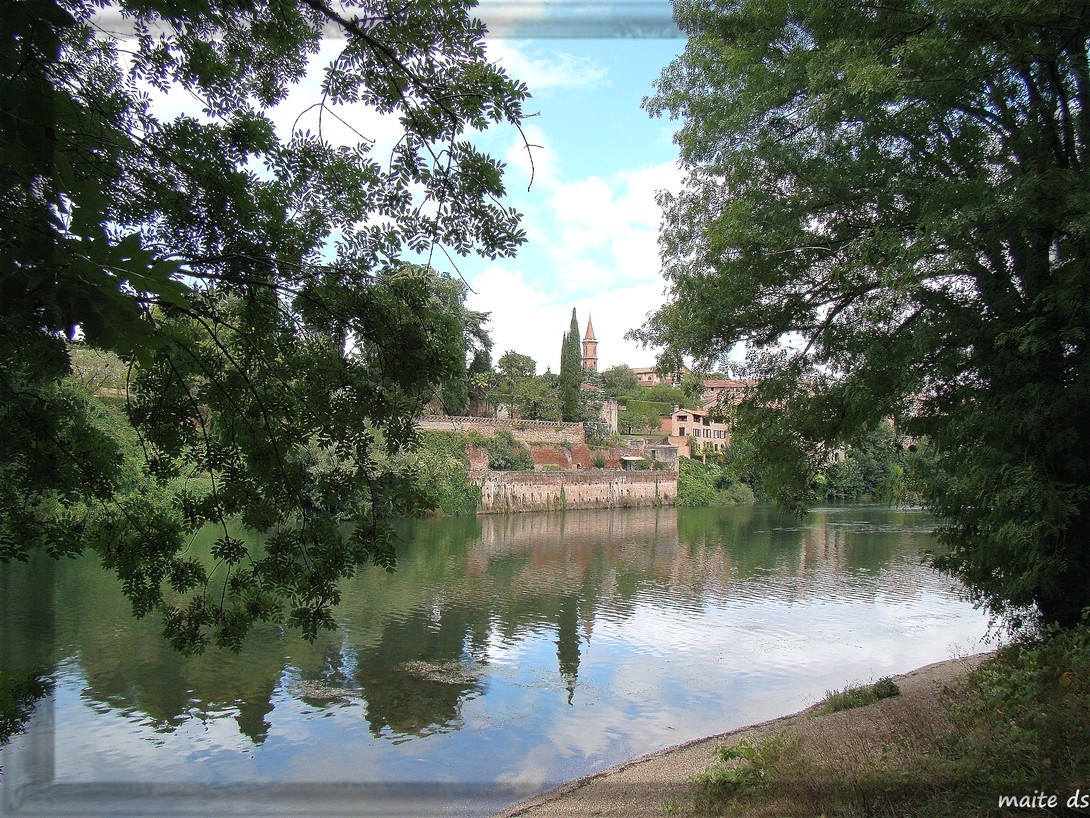 Albi