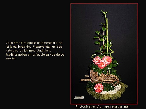 ikebana pps (12)