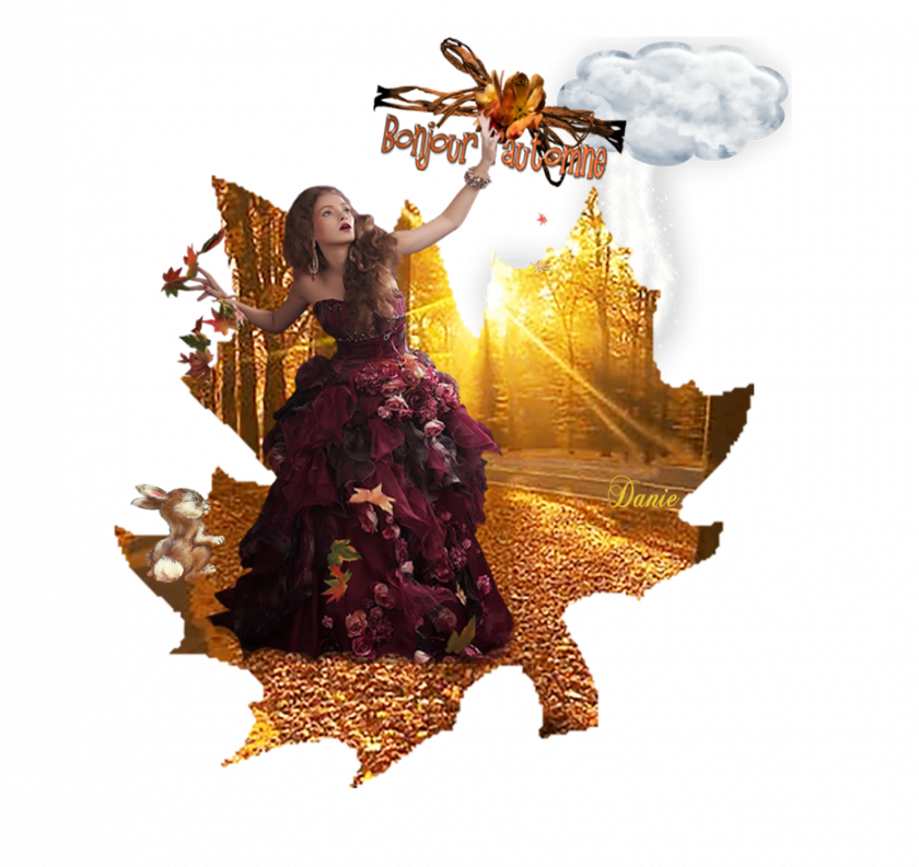 Bonjour l'Automne..