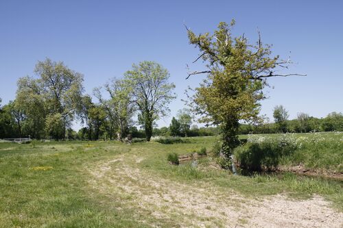 Un petit tours a la compagne avril 2014