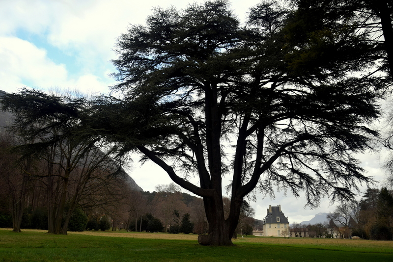 2016.01.13 Parc et château de Sassenage (Isère)