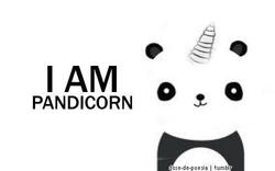 I'm a Pandicorn :0