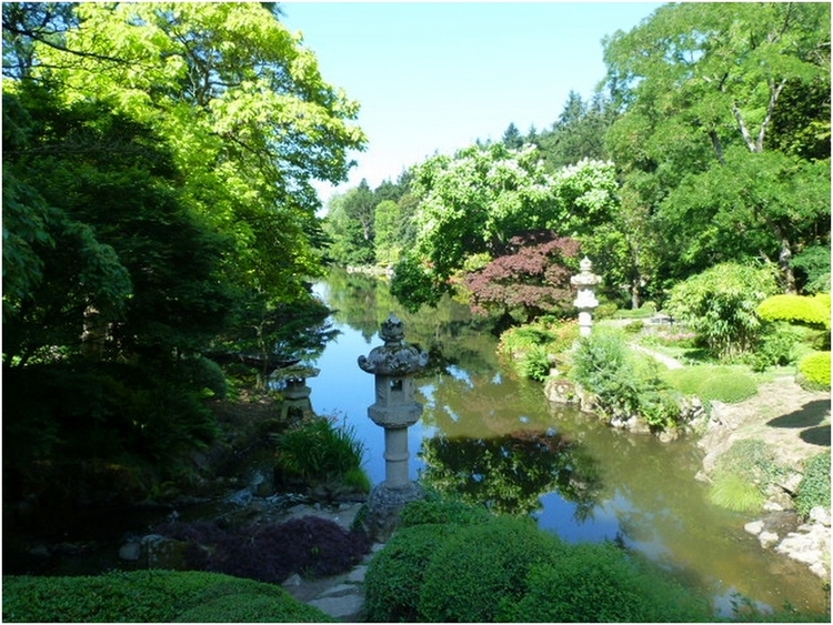 Le jardin Oriental de Maulevrier 