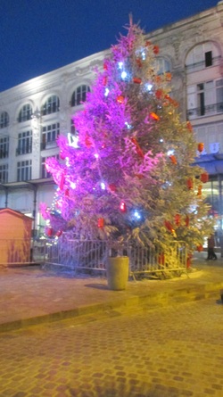 Nos beaux sapins, rois de la fête