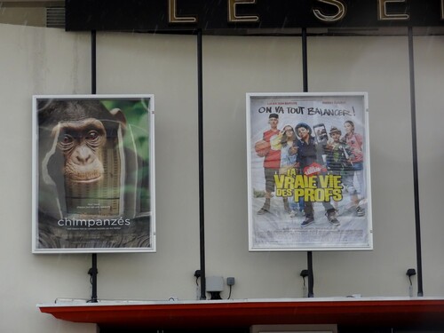 Le cinéma "le Select" de Châtillon sur Seine a rouvert ses portes !