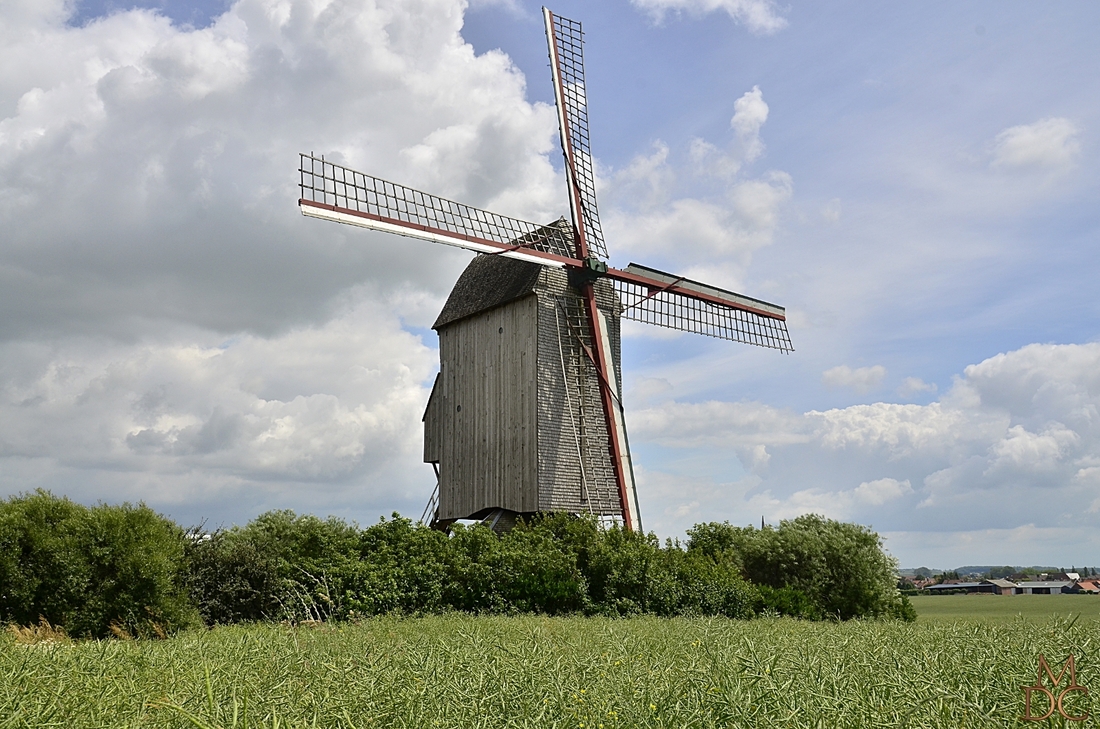 NOORDMEULEN - STEENVOORDE(59-Nord)