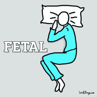 0005_FETAL-600x600