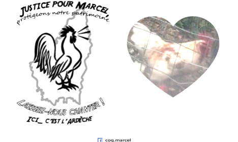 Pétition : Justice pour le coq Marcel !