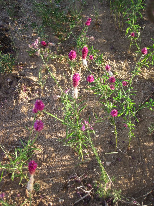 Sur la route de Karibib