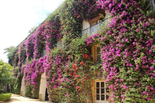 Maison de Las Dueñas. , Séville