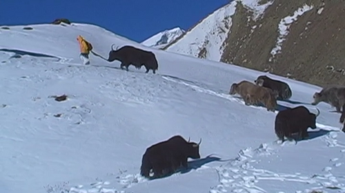 la traversée du zanskar (2010) VOStFR DVDRIP AC3