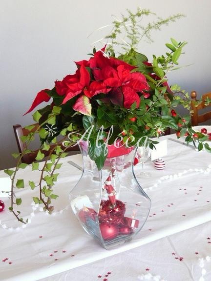 2011-compofloralenoel2b