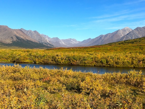 Jour 7 - Nome, Kangarok road