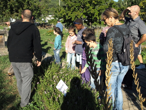 Sortie dans les jardins de l' association VIE.