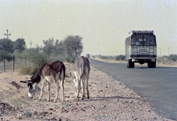 1er mars 1992 : le Temple des Rats