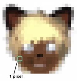 Pixel
