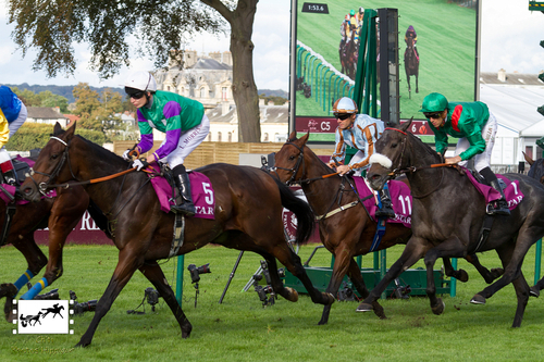 Qatar Prix du Cadran