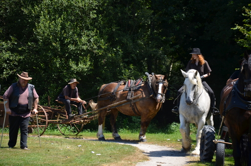 Fête d'antan de Campénéac