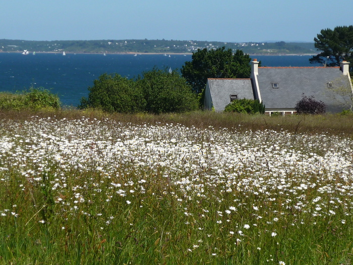 Suite "Entre mer et campagne"!