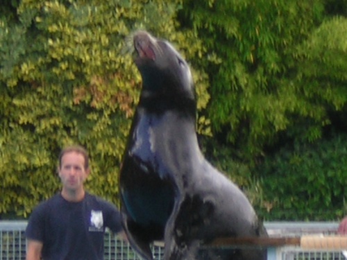 PARC ZOOLOGIQUE DE BEAUVAL EN SOLOGNE