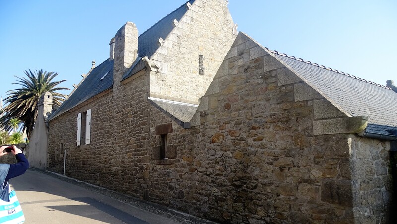 Une semaine à l'ile de Batz chez Zaza avec ma féline - Le jardin colonial - La palmeraie