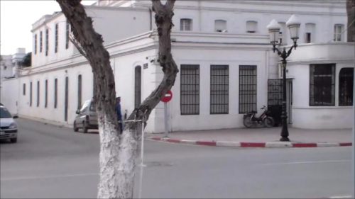 PHOTOS DE SIDI- BEL -ABBES