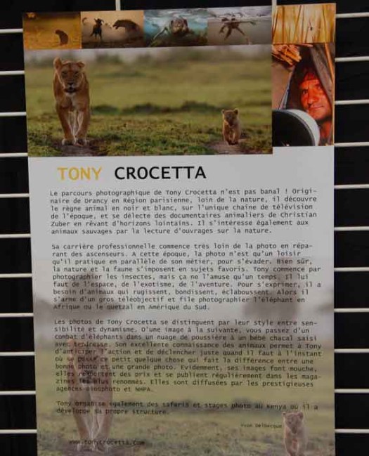 tony-crocetta-1703.jpg