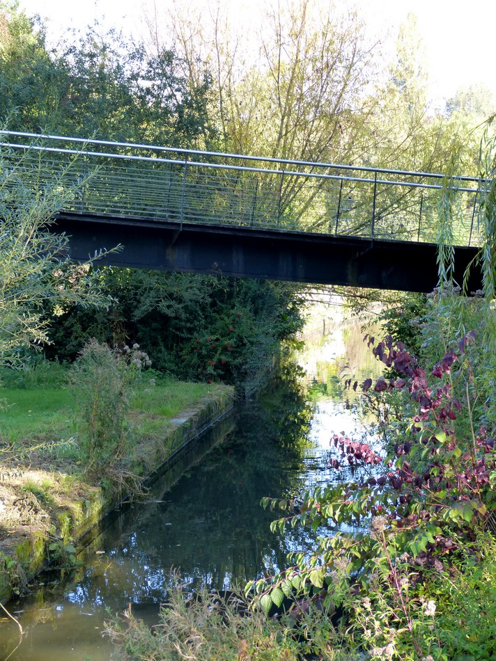 Matinée du 1er octobre 2014