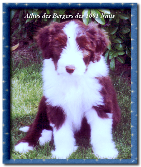 Athos Athos