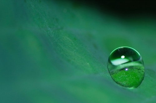 L’eau, passeuse de conscience