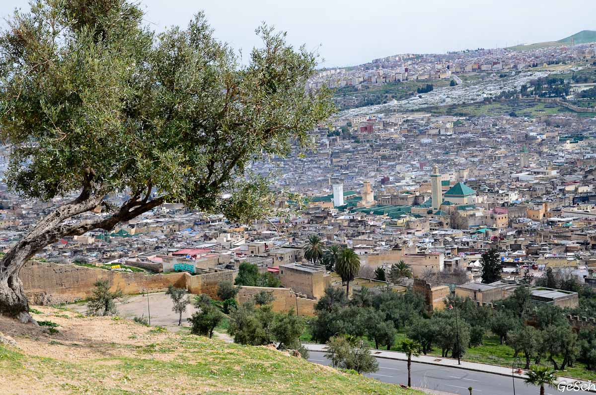 maroc volubilis  Moulay Idriss Zerhoun fès