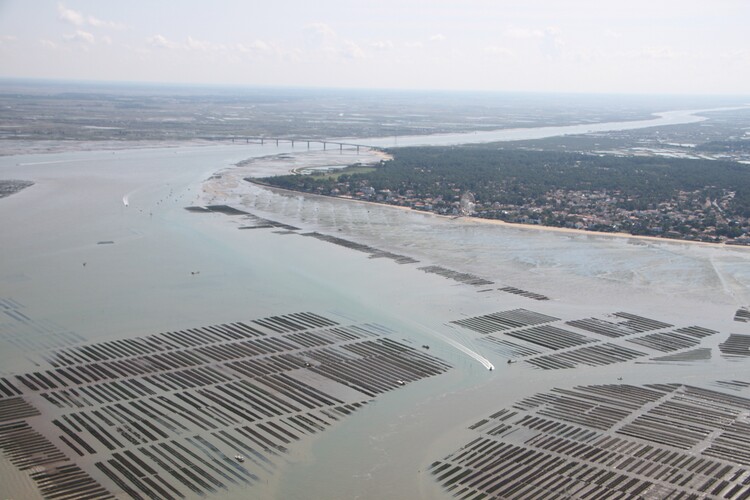 tables à huitres - Ronce les Bains - Pont de la Seudre