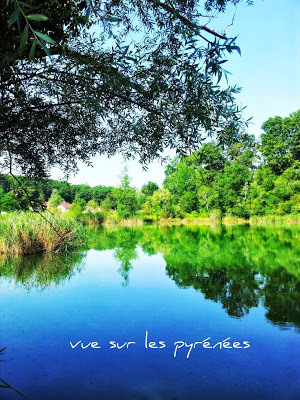 #Lac de la Tuilerie de #Gan 64 #béarn