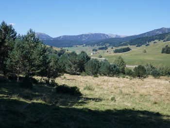 Pendant la montée