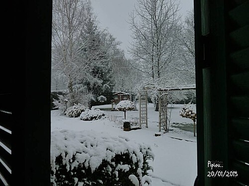 neige-20-janv-2013--1-.jpg