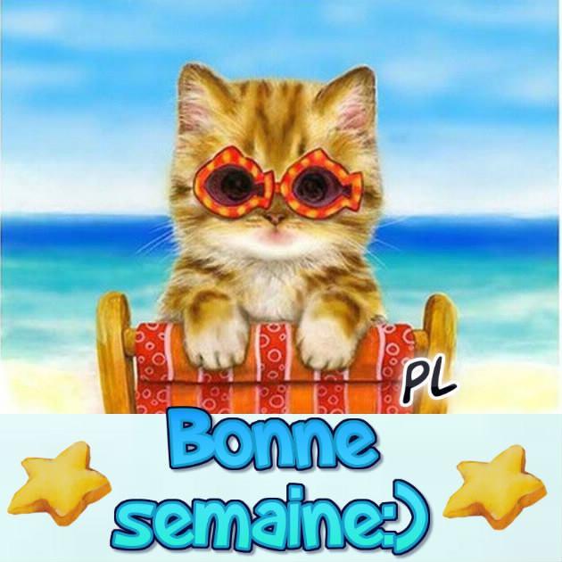 ᐅ 148 Bonne semaine images, photos et illustrations pour whatsapp -  BonnesImages