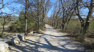 Chemin des Grailles