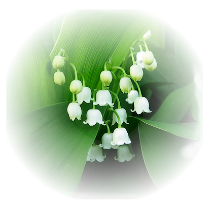 Tubes Fleurs