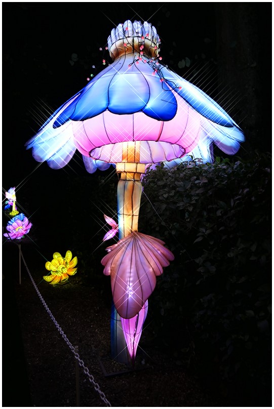 Festival des lanternes-Jardin fantastique-10