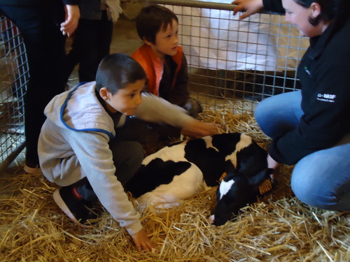 La ferme Idéhalles 3