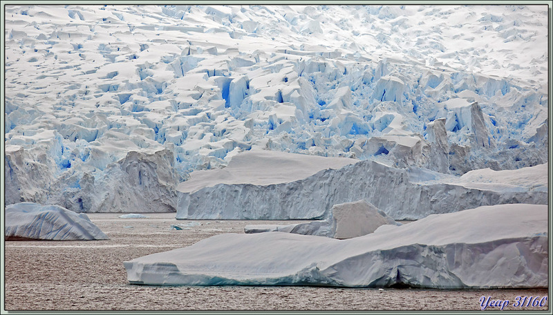 09/03/22 : nous débarquons sur Danco Island, située en face de la rocheuse Rongé Island, manchots papous et grands labbes (skuas) peuplent les lieux - Errera Channel - Antarctique