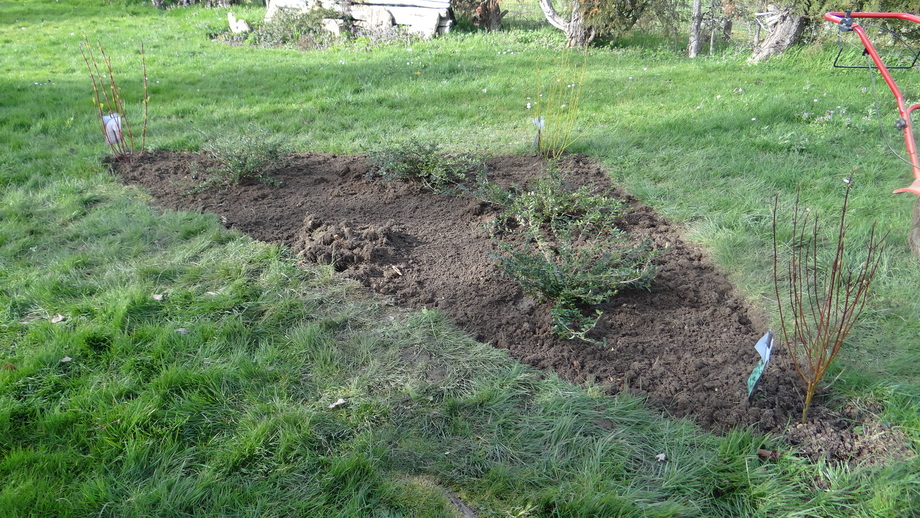 Le Jardin se Réveille Enfin ... Le Printemps !!