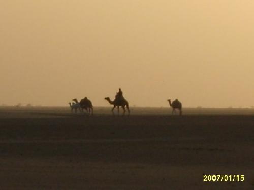 Mauritanie 1° bivouac mauritanien avec ses visiteurs.