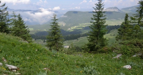 Col d'Ovine, le 04-07-2019, Photos PASCAL