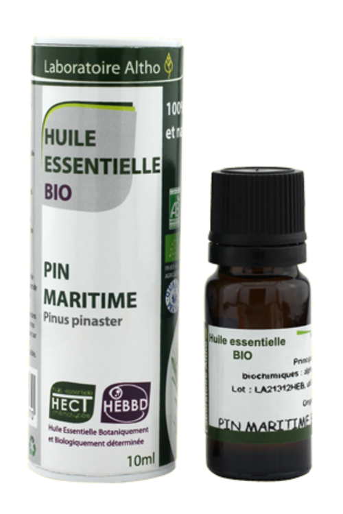 Vertus médicinales des arbres : Pin maritime