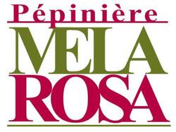 La pépinière Mela Rosa...